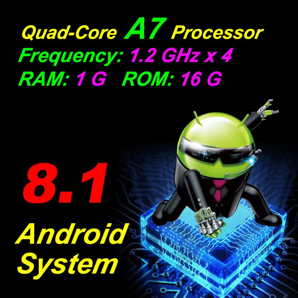 31244-description-2-l2.jpg