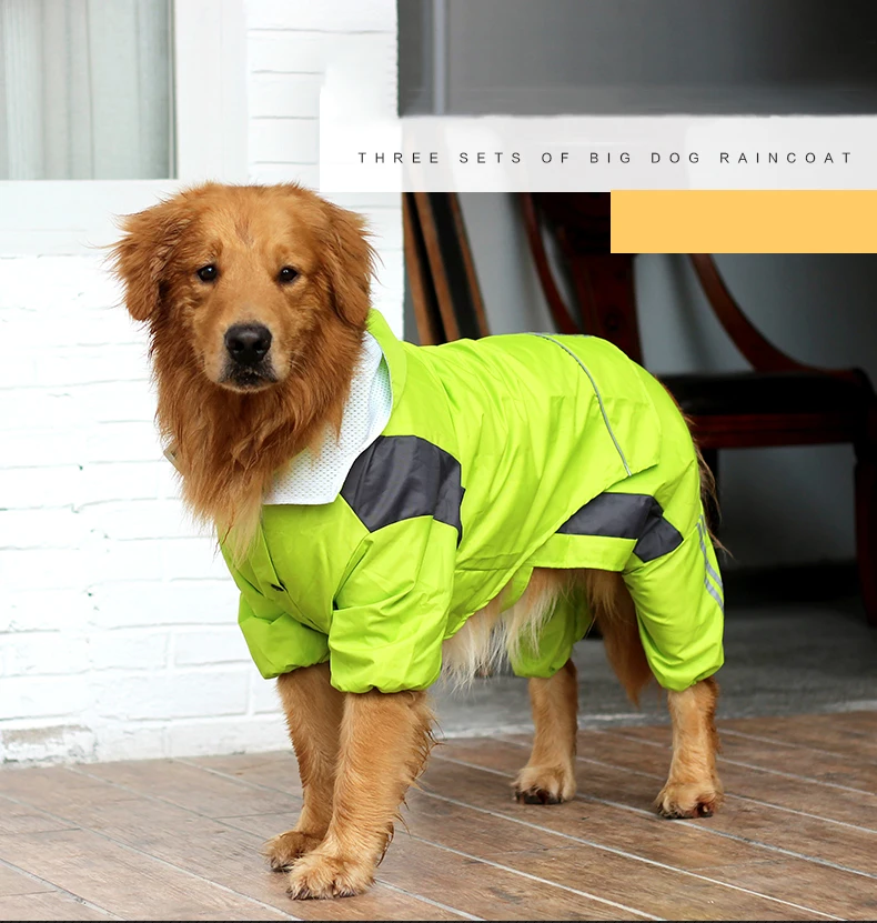 大狗雨衣-_01-1