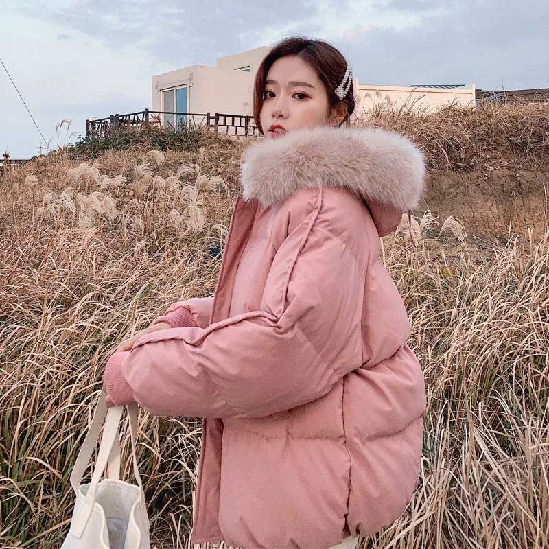 

NiceMix 2019 New Fashion Women Winter Jacket Coats With Fur Collar Warm Hooded Female Womens Winter Coat Long Parka Outwear Camp
