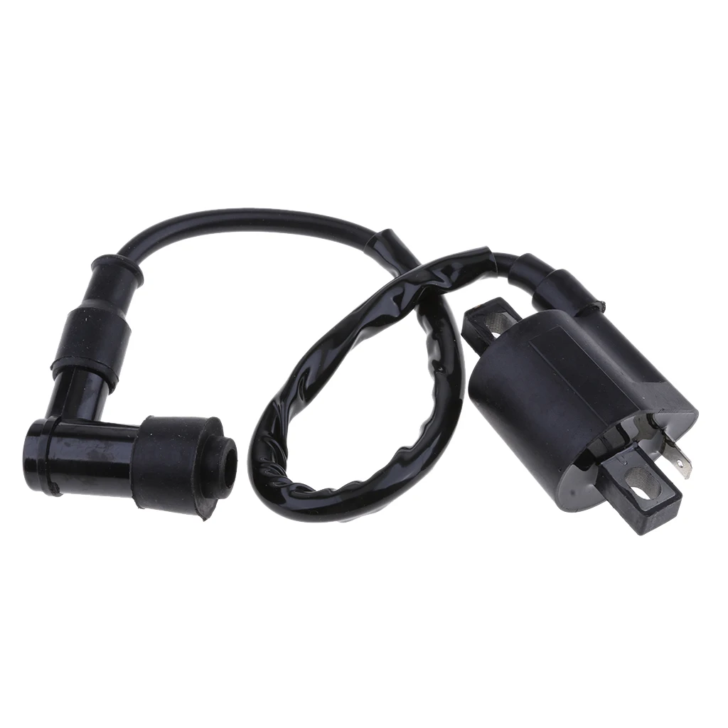 Ignition Coil Replacement For Suzuki Quadmaster 50 2002 2003 2004 2005