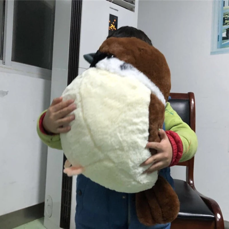 10848091832_1888598795