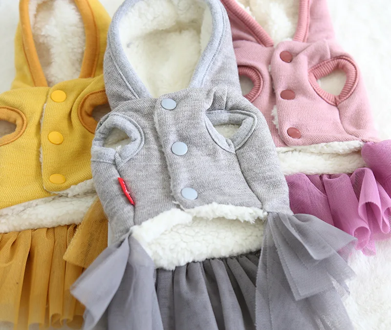 19AW25 (3)