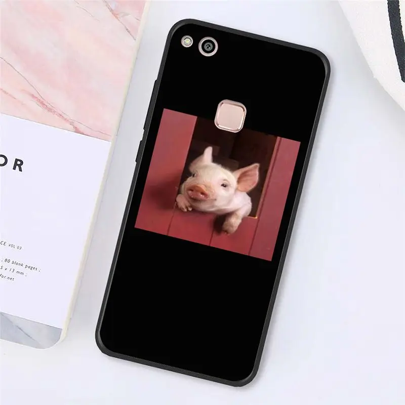 Cute Little Pink Pet Pig