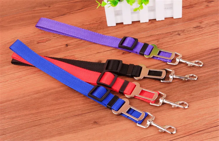 2655763278_1847764777