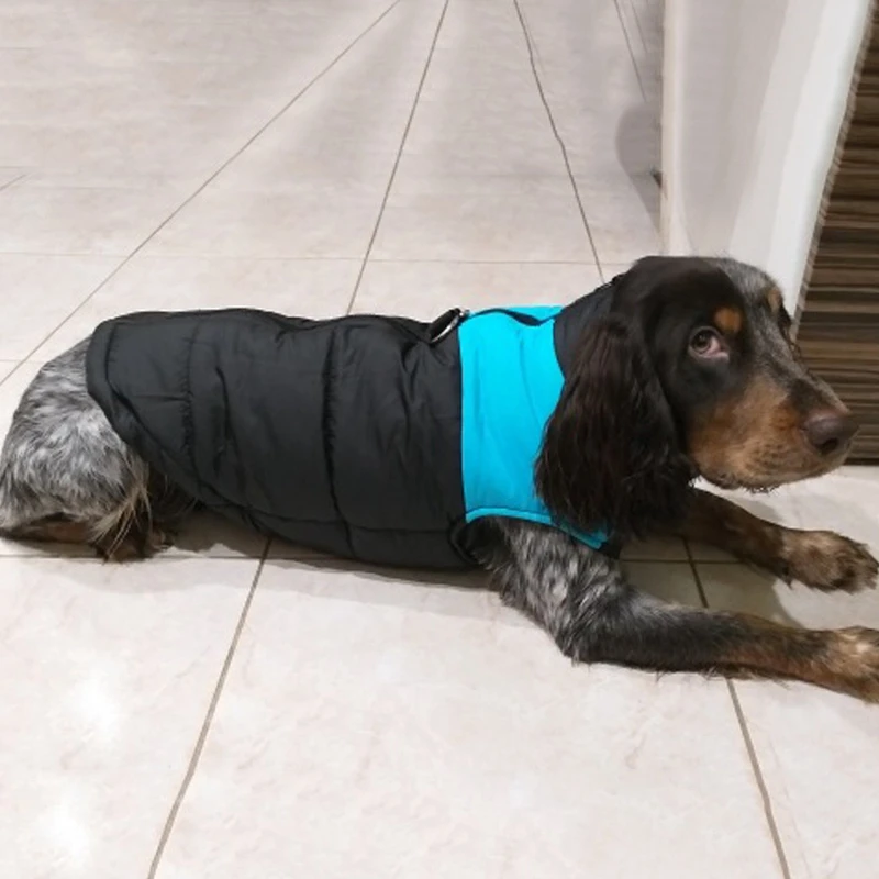 thermal dog coat