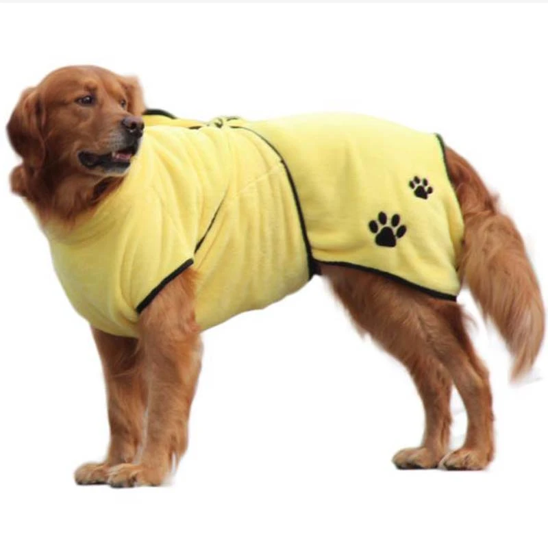 Can Dog Take A Bath At Night