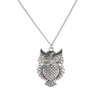 

Explodes the fund to act role of Euro-American individuality fashion long section hollow out necklace retro owl pendant