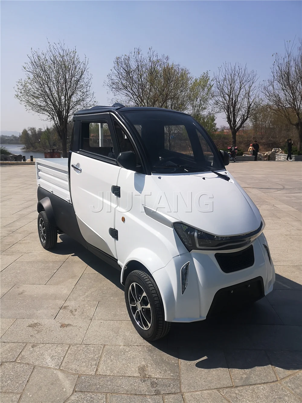 New Electric Pickup Truck Mini Car Cargo Vehicle New Energy Adult