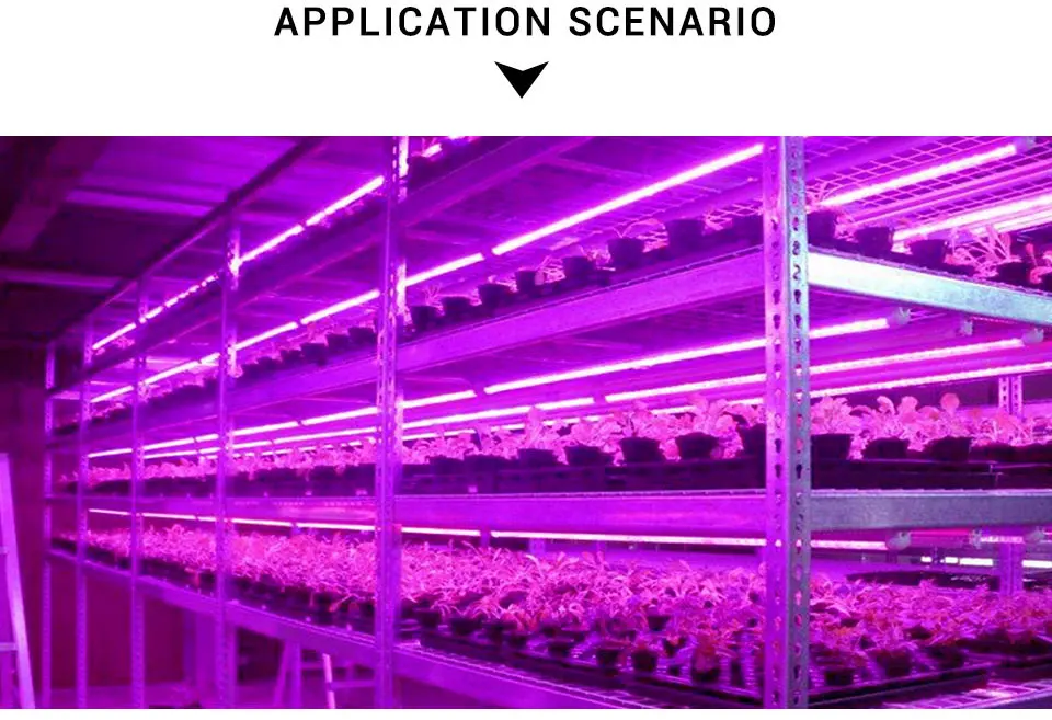 5 в USB СВЕТОДИОДНЫЙ светильник для выращивания, полный спектр светодиодных лент, светильник для растений SMD2835 60 Светодиодный фито-лампы для подкормки цветов, фитолампия, тент для выращивания