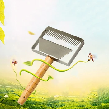 

Multifunctional Stainless Steel Double Needle Beekeeping Tools Suitable For Uncapping Forks Honey Honeycomb Scraper
