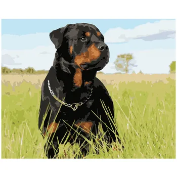 

Painting By Number DIY Dropshipping big size Grassland cute black dog Animal Canvas Room Decoration Art picture Child Gift