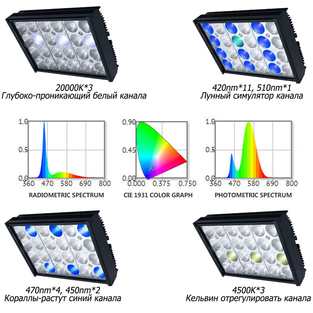 海水灯珠布局俄