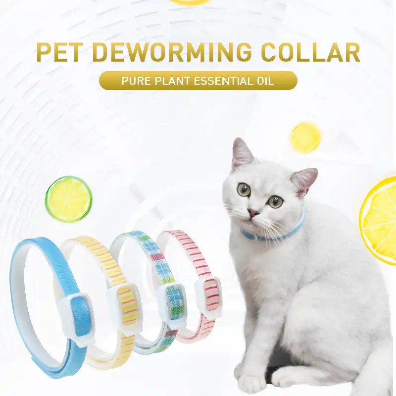 dog and cat supplies