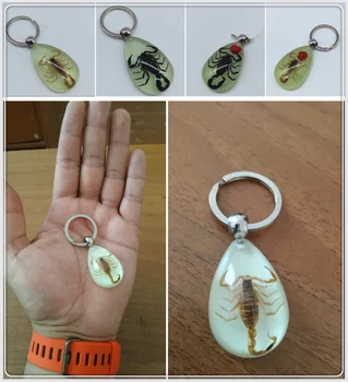 

Motorcycle style scorpion luminous wear key chain crafts accessories for YAMAHA YZ80 85 YZ125 250 YZ250F YZ426F 450F YZ250X