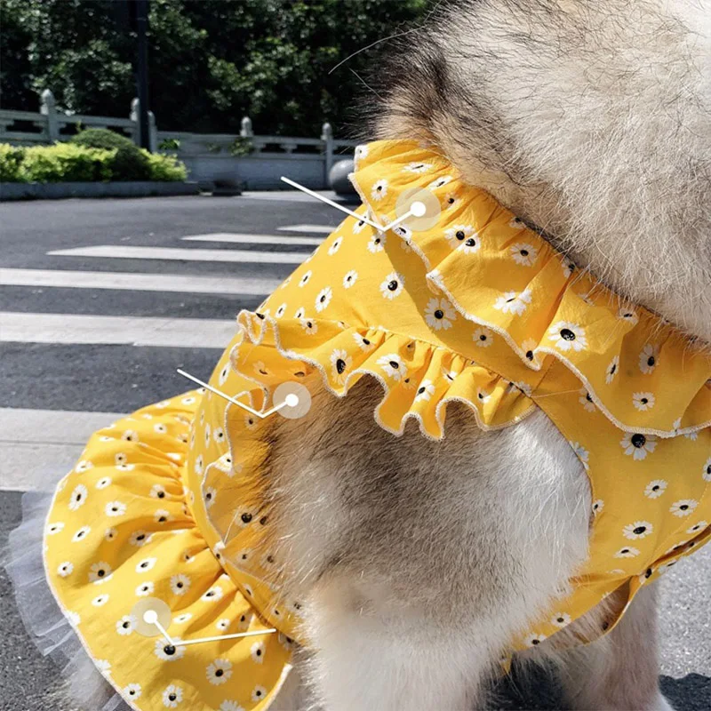 Cool Summer Dress With Chrysanthemums For Dogs