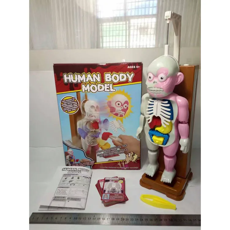 

Trick Mannequin CHILDREN'S Toy Educational Fitness Toy Tabletop Game Educational Children Special Education Teaching Aids