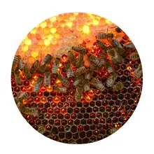 

Floor Mat Bee Pattern Realistic Felt 3D Honeycomb Pattern Carpet for Home