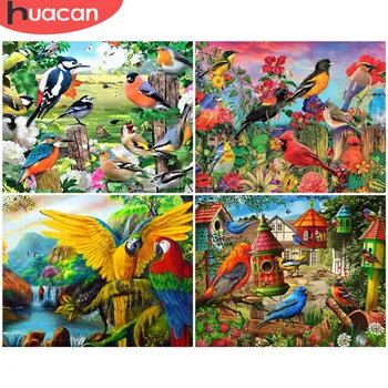 

HUACAN Oil Painting By Number Bird Drawing On Canvas Gift DIY Pictures By Numbers Flower Kits Hand Painted Paintings Home Decor