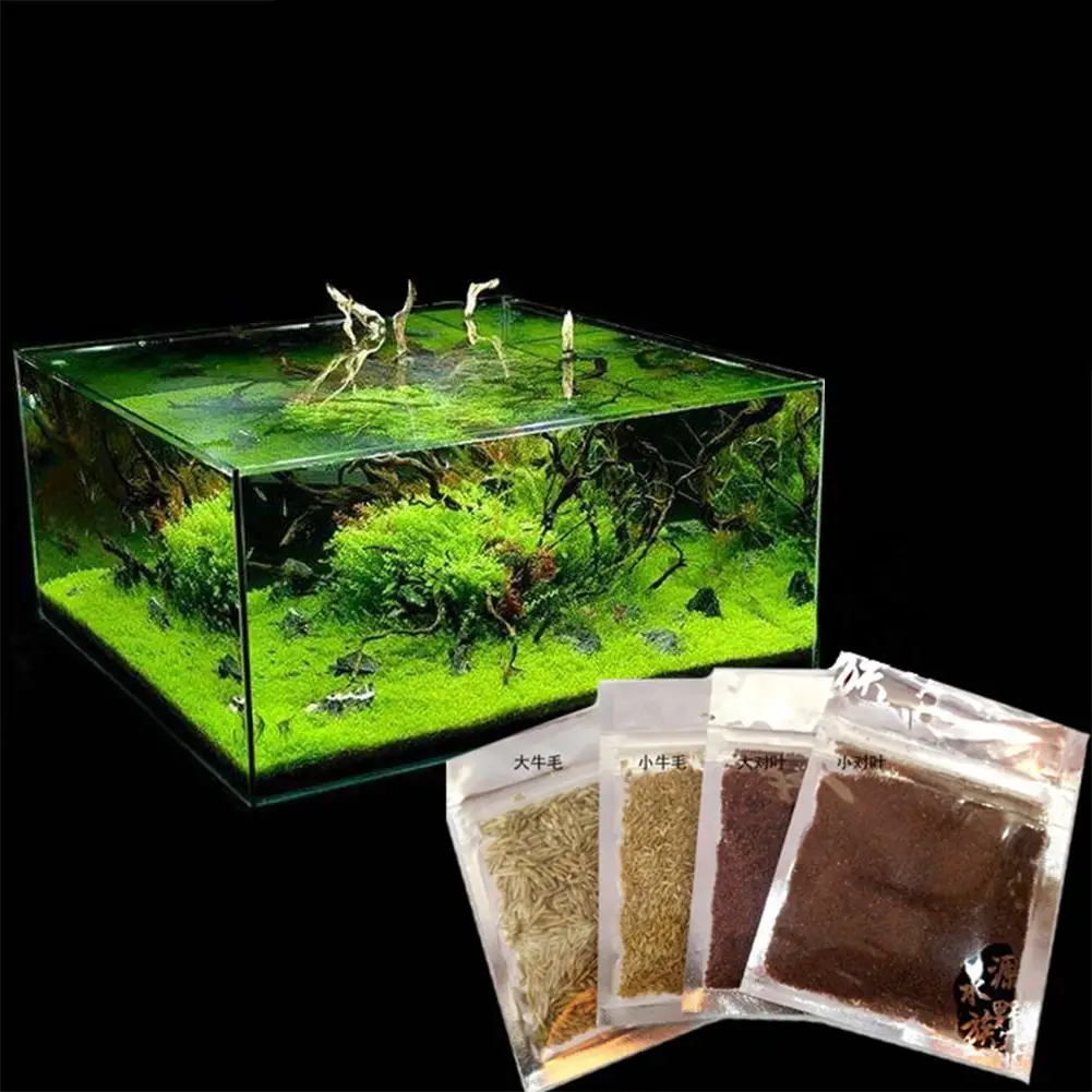 

GloryStar Aquarium Plant Seeds Aquatic Water Grass Decoration as Garden Fish Tank Foreground Plant