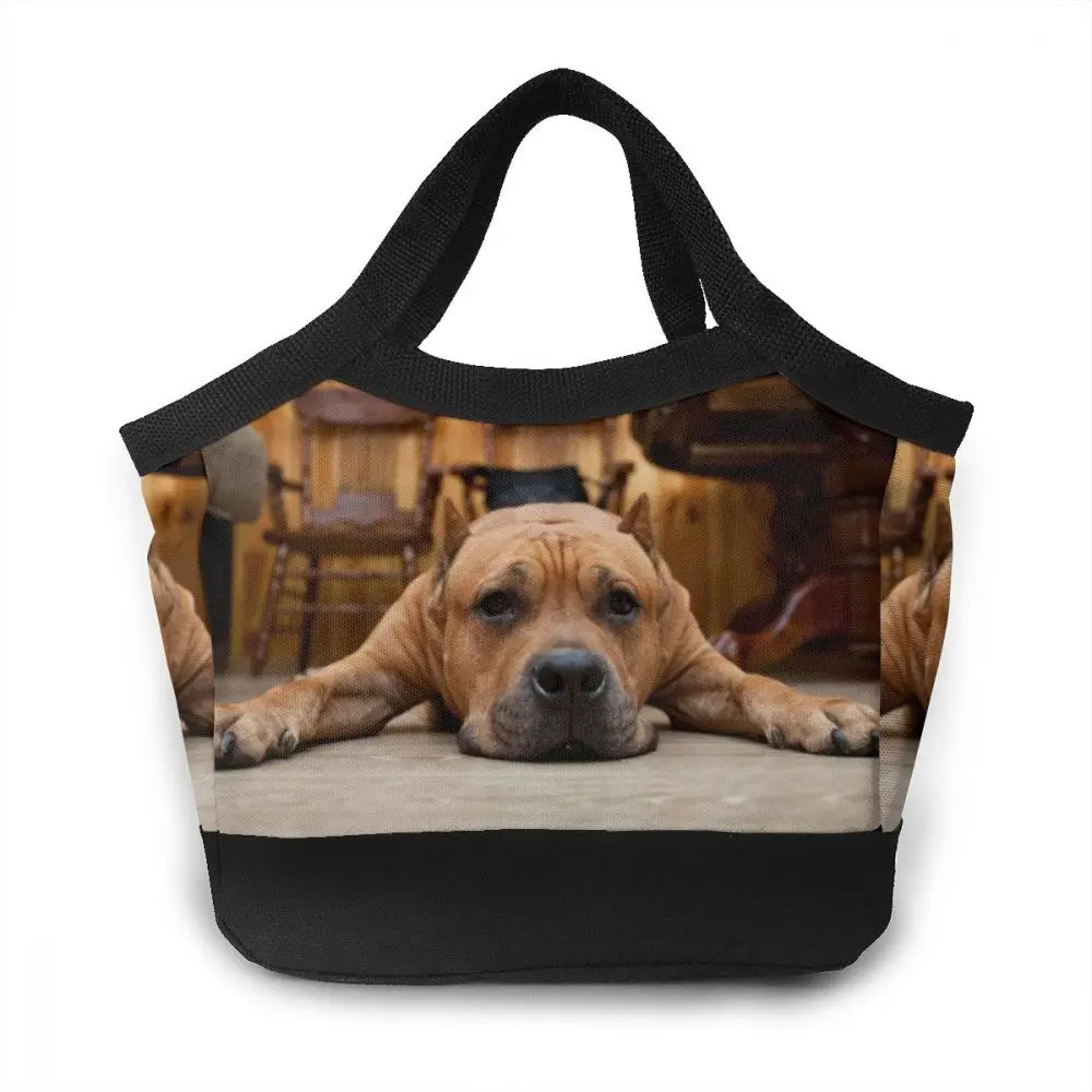 

NOISYDESIGNS Cute Animals Dogs Pattern Portable Insulated Lunch Bags Cold Bales Women Family Food Picnic Kids Bolsas Termica