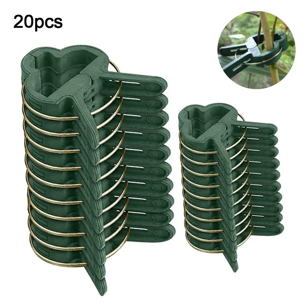 SAIJIAN 100 Pièces Clips De Plantes Pinces Pour Plantes Clip De Support De Plante Pinces à