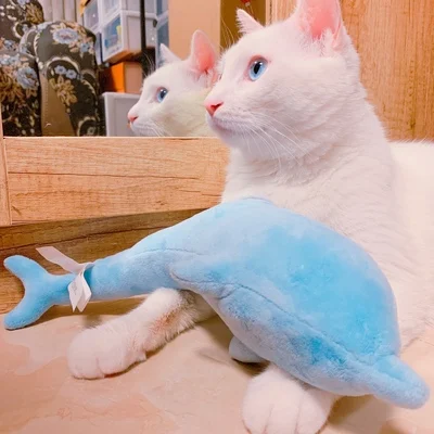 Xiaomi милый Дельфин дизайн кошка игрушка-грызунок с кошачьим котом котенок питомец Жевательная Кусачка Интерактивная Подушка кукольная зубная шлифовка
