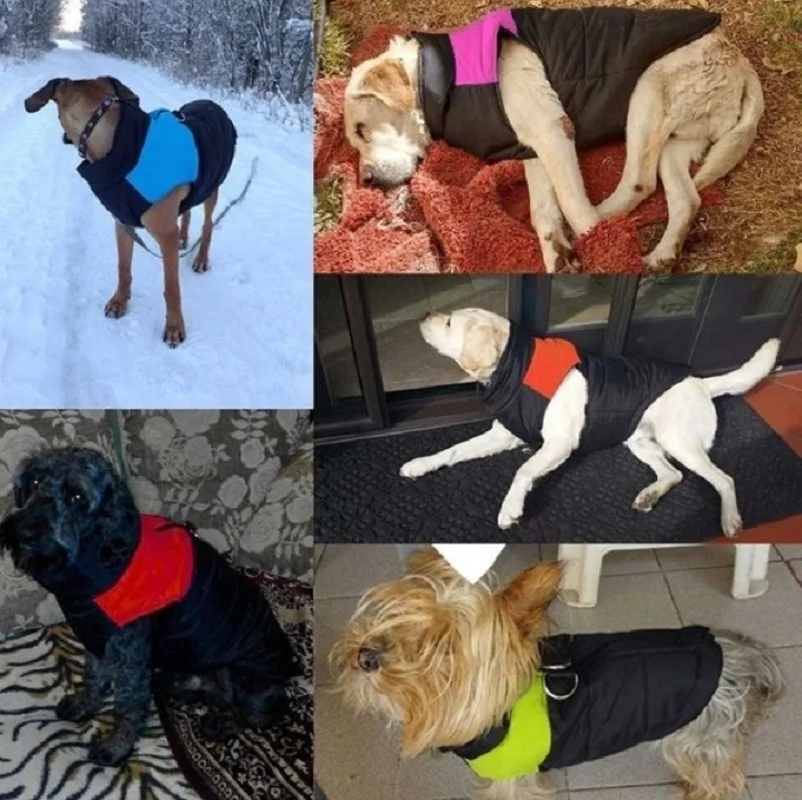 Собачья жилетка, одежда для собак, водонепроницаемая куртка на молнии, Зимняя Теплая стеганая куртка для маленьких и средних собак