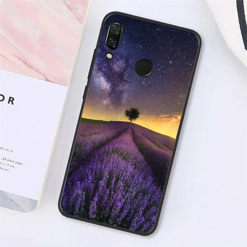 Simple lavender Purple flowers   