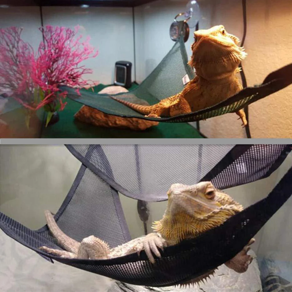 2 x Plastic Lizard Hammock Lounger, Reptile Mesh Bed & Ladder for Large & Small Bearded Dragons Anole Geckos Lizards or Snakes