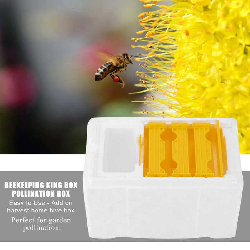 Мед пчелиный улей Авто улей рамки комплект для пчеловода Pollination Box оборудования 1 шт