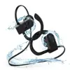 Portable Audio 