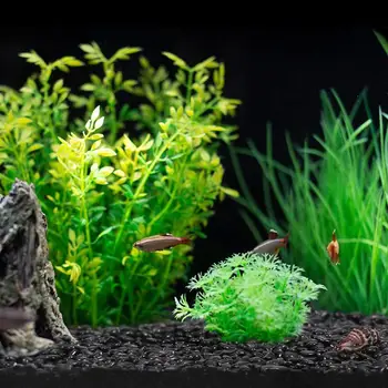 

POPETPOP 2kg Decorative Stones Garden Yard Glass Stone Fish Tank Aquarium Polished Sand Stone (Black)