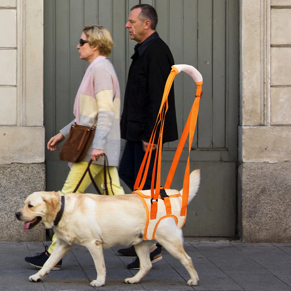 Harnais Pour Chien Handicapé, Harnais De Levage Réglable Pour Soutenir Les Chiens Handicapes Et Ages Afin De Fournir Un Soutien De Securite Pour Les Chiens De Petite Moyenne Et Grande Taille M