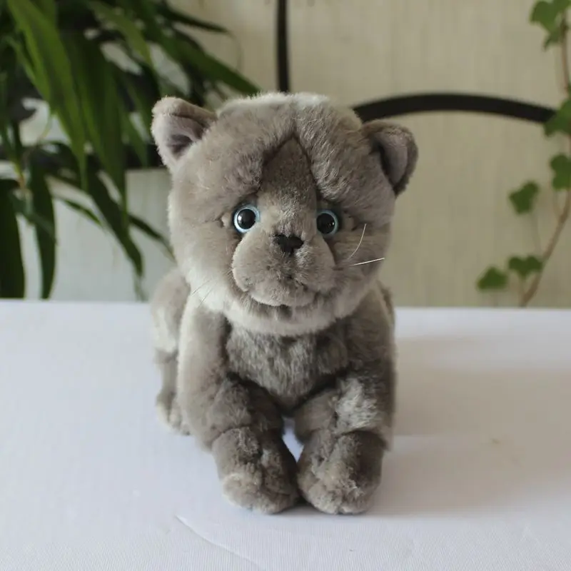 

Cute soft Rare Chartreux doll toys present real life plush gray cats dolls toy children girl birthday gift