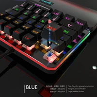 Computer Peripherals