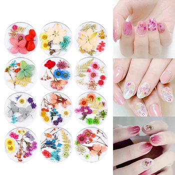 

1bottle nail art dry flower mix color with different size 12 styles 3D manicure nail art decoration dried flowers nail art MZ185
