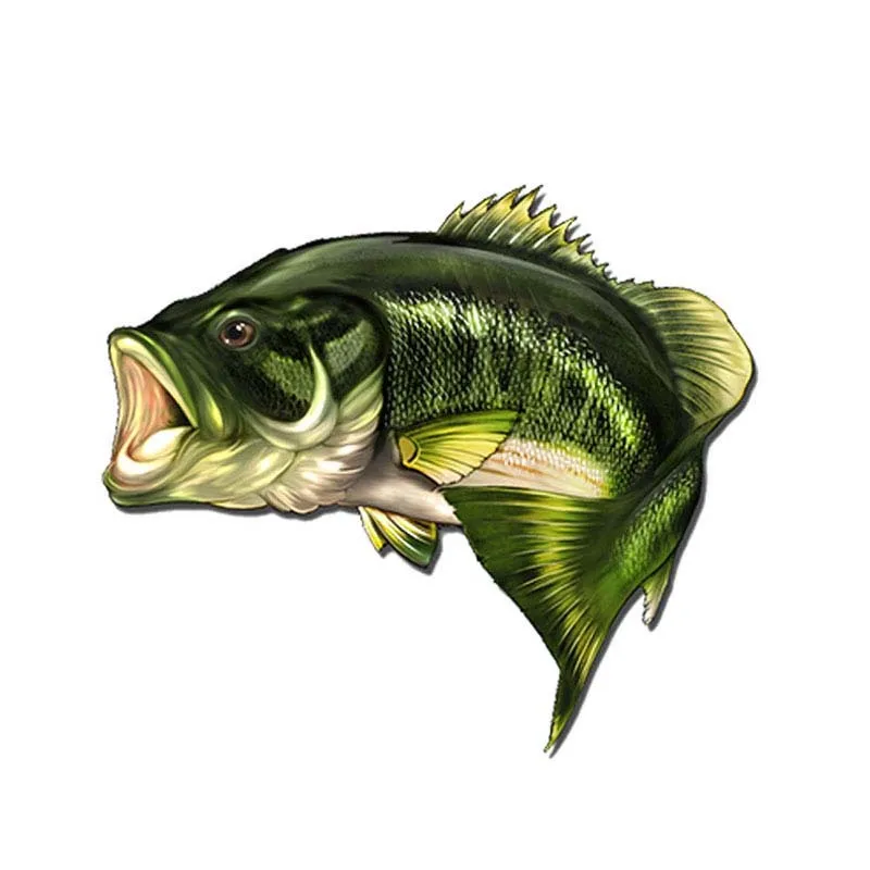 

Creative Large Mouth Bass Fish Fishing Car Stickers Vinyl Car Window Motorcycle Accessories Cover Scratches PVC 13cm X 11cm