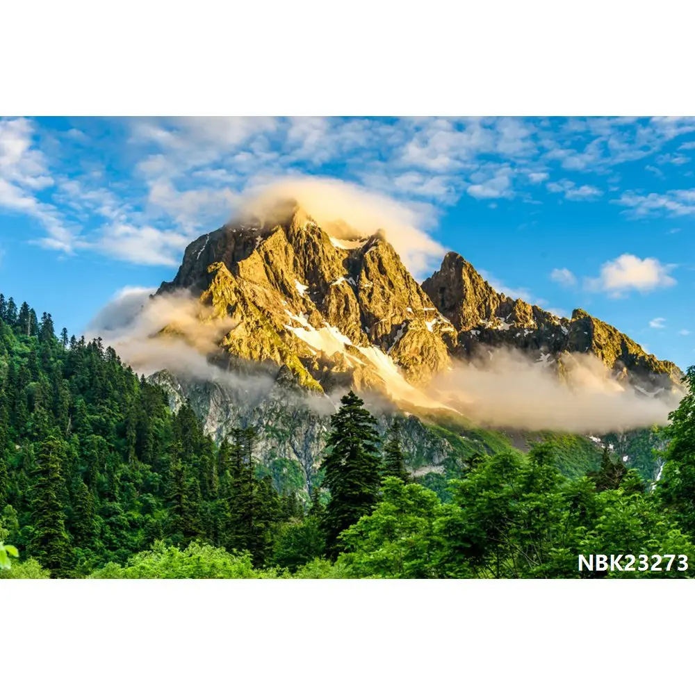 thumbnail image 1 of Fondos de fotografía de paisajes naturales con cielo azul, nubes blancas, montañas, árboles y ríos para bebés, 1 of 5