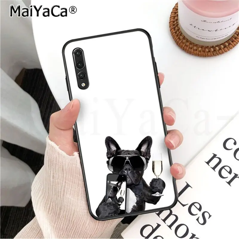 Frenchies Pretty puppy Pug Bulldog