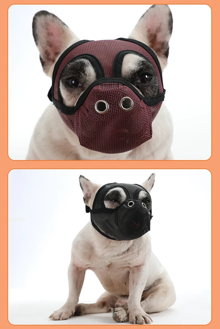 18 - 21378469436_20982621