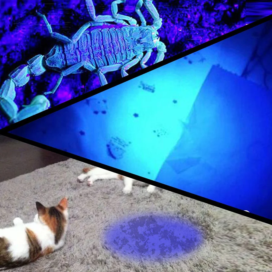 71AzRqBQ9gL._SL1200_