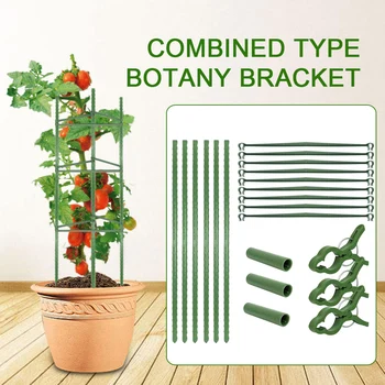 

Tomatoes Cage Assembled Plant Vegetable Trellis Support Stakes for Indoor Pot Outdoor Use Garden K888