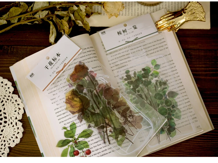 植物研究所贴纸包_15