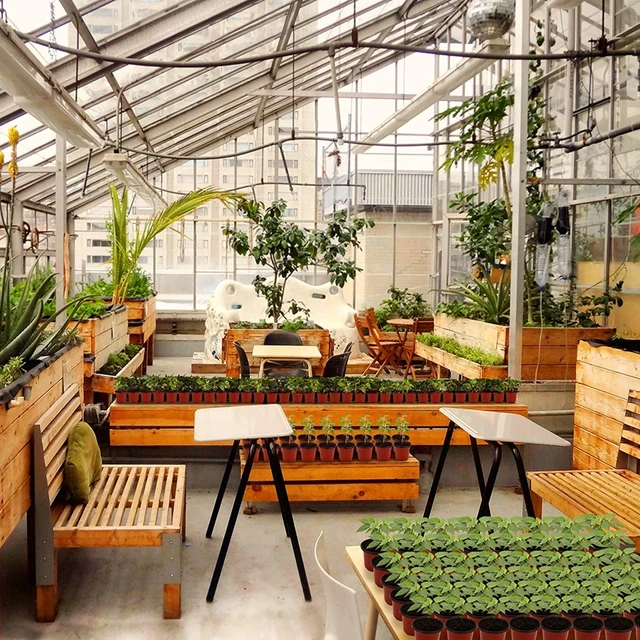 10/30/50 Csomagolnak Növényi Óvodai Edények Vetőmag -Kiinduló Tálcák Páratartalom Kupola Címkék 10 Cm Puha Átlátszó Műanyag Kertészet - Image 6