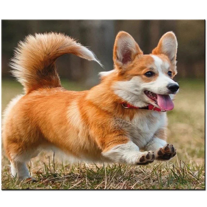 H54d56158c4564d55ac004fc8837ca7a1s