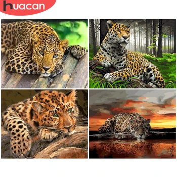 

HUACAN DIY Pictures By Numbers Paint By Number Animal Drawing On Canvas Hand Painted Painting Leopard Art Gift Kits Home Decor