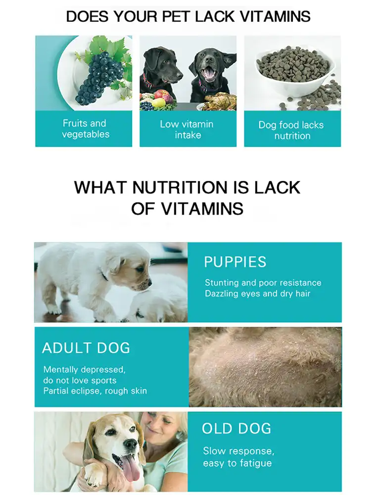 vitamins for chihuahuas