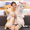 130CM Cute Soft Long Cat Pillow Plush Toys Stuffed Pause Office Nap Pillow Bed Sleep Pillow Home Decor Gift Doll for Kids Girl ► Photo 2/6