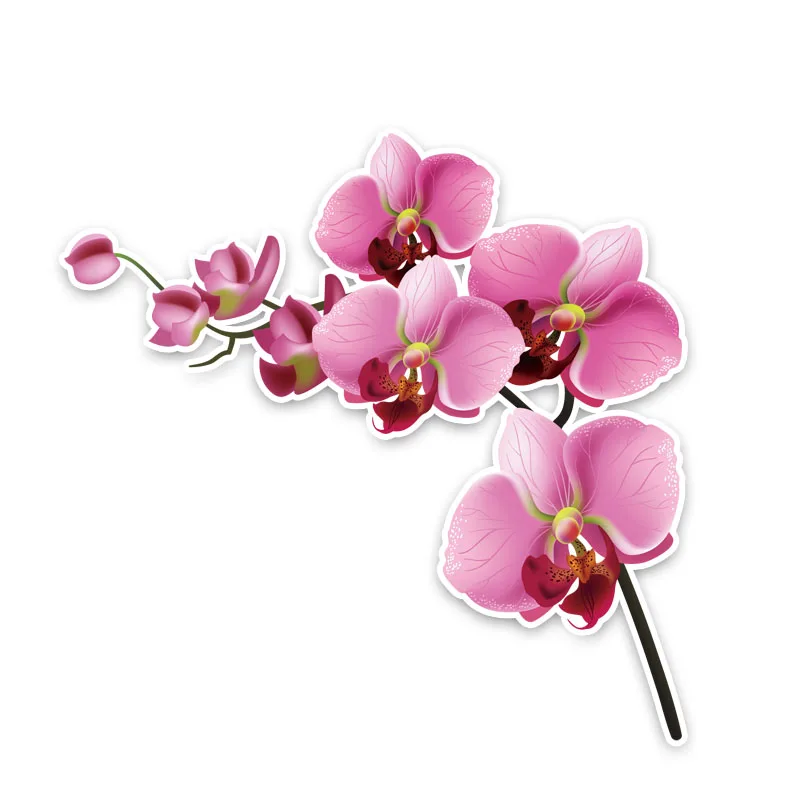 

Gorgeous Orchid Car Sticker Bumper Motorcycle Decor Superior Quality Vinyl Cover Scratches Waterproof PVC 12.5cm X 12.5cm