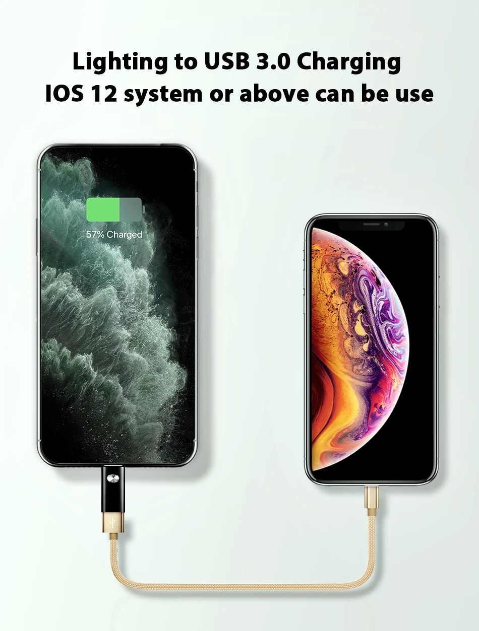 Адаптер ACCEZZ OTG для освещения USB для iPhone 7 8 Plus X 11 Pro Max конвертер iOS 13 подключение камеры зарядное устройство Кабельный разъем